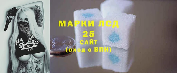 ГАЛЛЮЦИНОГЕННЫЕ ГРИБЫ Карабаш