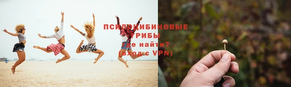 Альфа ПВП Липки