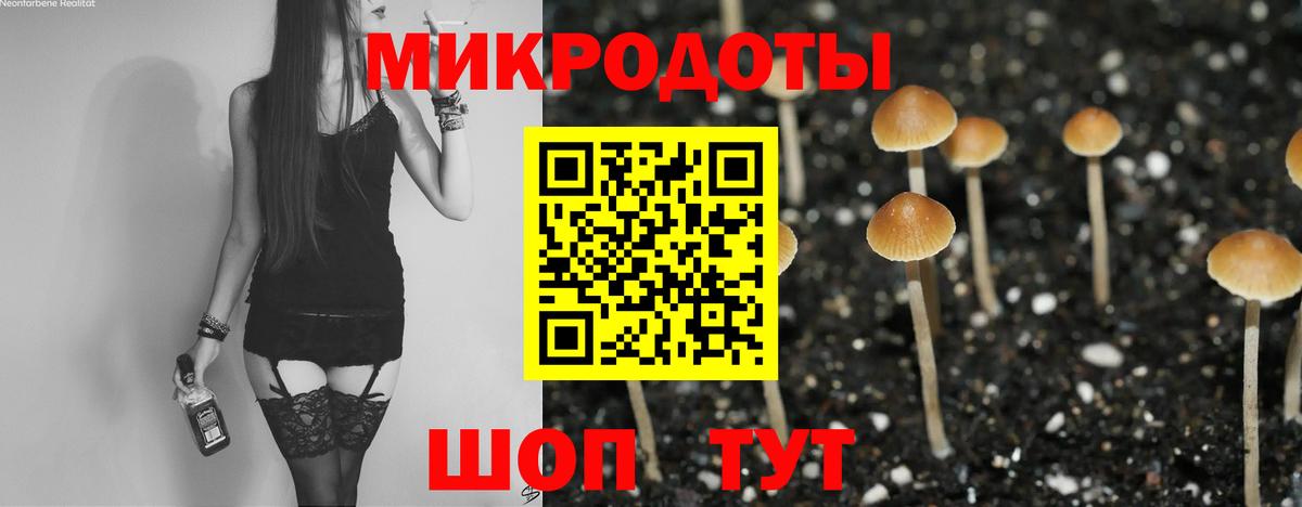 Галлюциногенные грибы GOLDEN TEACHER  магазин    Моршанск  Галлюциногенные грибы Psilocybe 