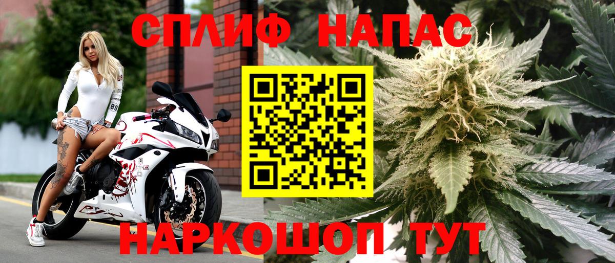 Шишки марихуана White Widow Моршанск